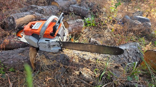 Stihl 031 fully - stihl, working